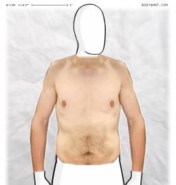 Torso