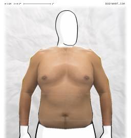 Torso