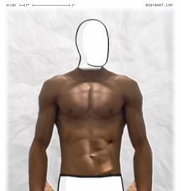 Torso