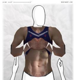 Torso
