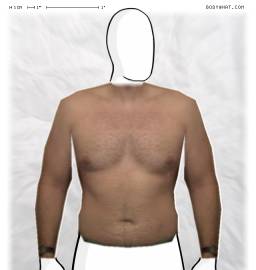 Torso