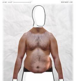 Torso
