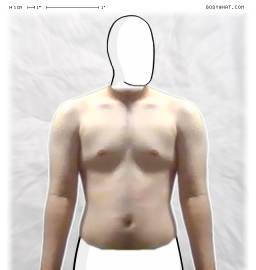 Torso