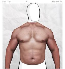 Torso