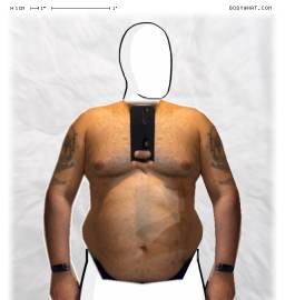 Torso