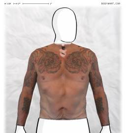 Torso