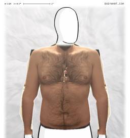 Torso