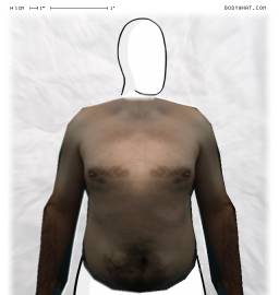 Torso