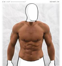 Torso