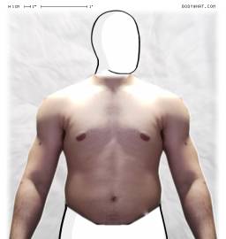 Torso