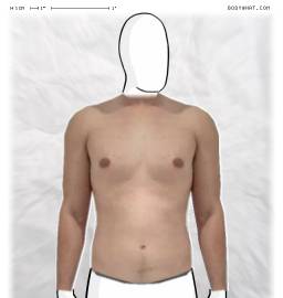 Torso
