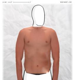 Torso