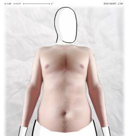 Torso
