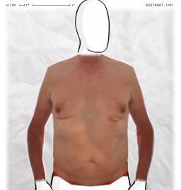 Torso