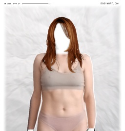Torso
