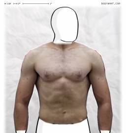 Torso