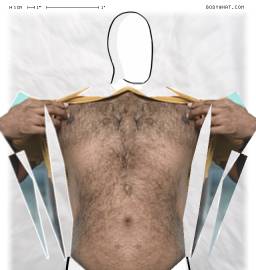 Torso