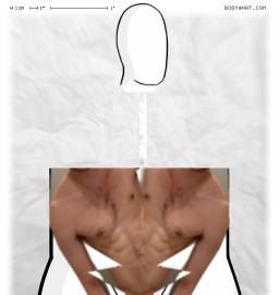 Torso