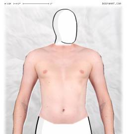 Torso