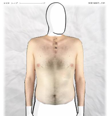 Muscle Morphing