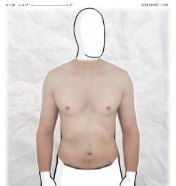 Torso