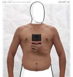 Torso