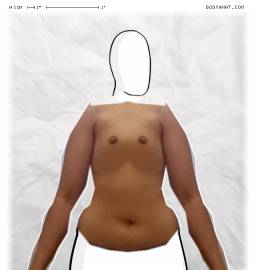 Torso