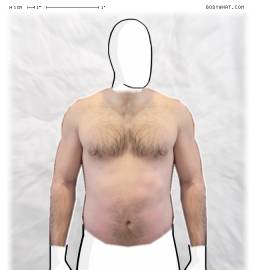 Torso