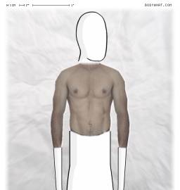 Torso