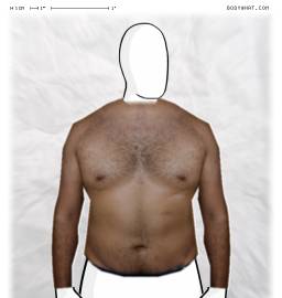 Torso