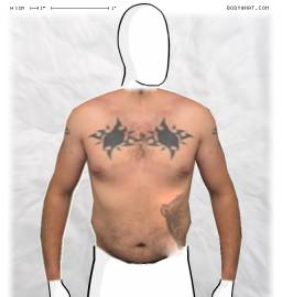 Torso