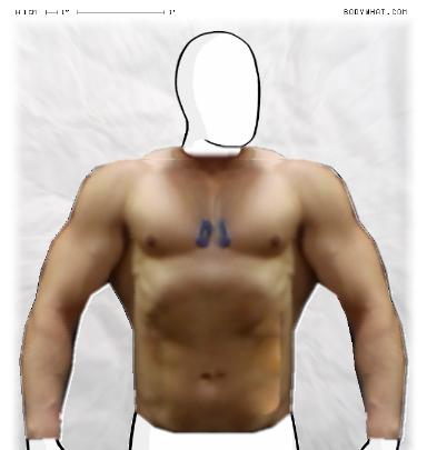 Muscle-ing up