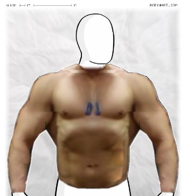 Muscle-ing up