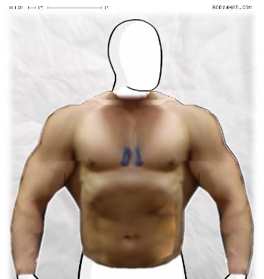 Muscle-ing up