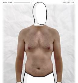 Torso