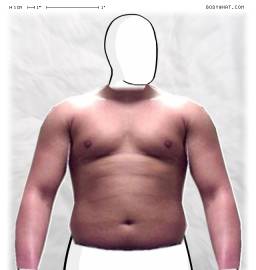 Torso