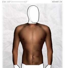 Torso