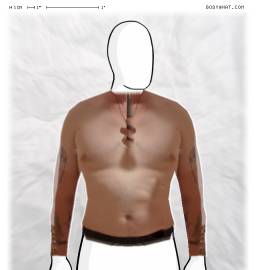 Torso