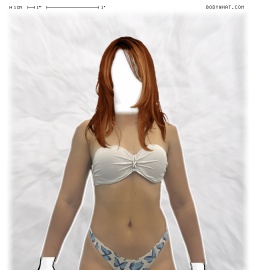Torso