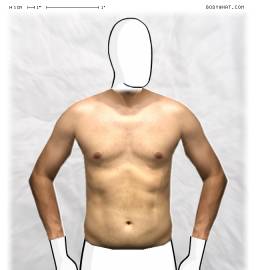 Torso