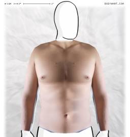 Torso