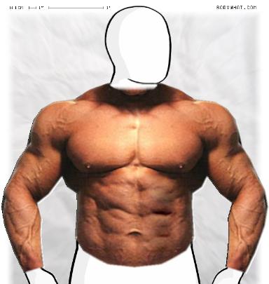 Muscle-ing up