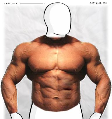 Muscle-ing up