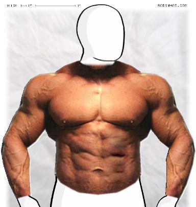 Muscle-ing up