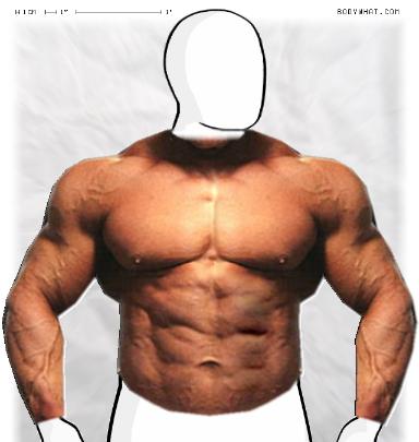 Muscle-ing up