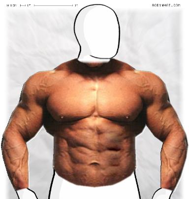 Muscle-ing up