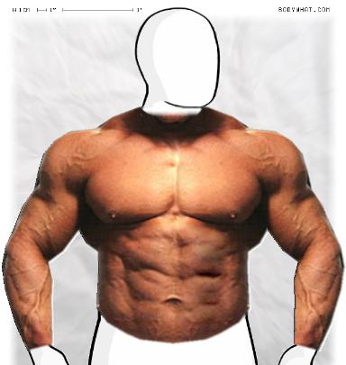 Muscle-ing up
