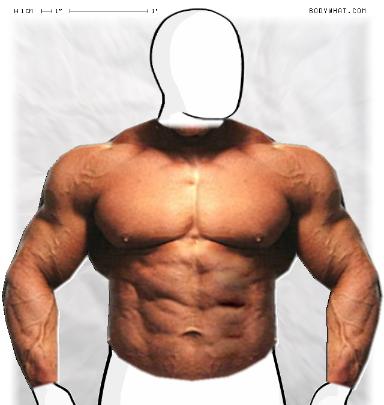 Muscle-ing up