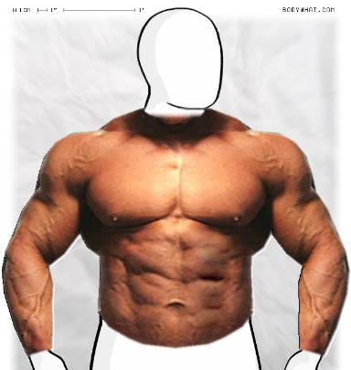 Muscle-ing up