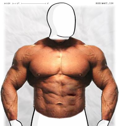 Muscle-ing up